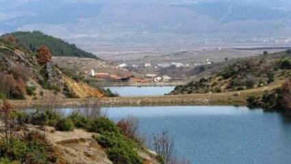 с. Копривлен