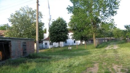 с. Душинково