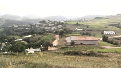 с. Малък девесил