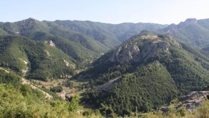 с. Сини връх