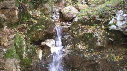 с. Долно Къпиново