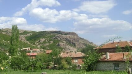 с. Звезделина