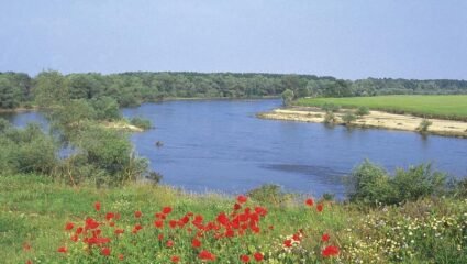 с. Говедаре