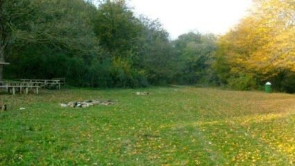 с. Староселец