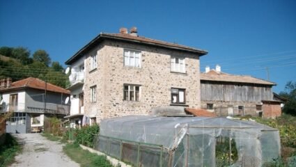 с. Гудевица