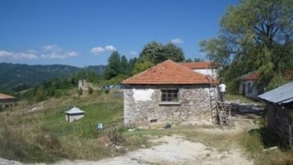 с. Гудевица