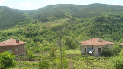 С. Калиманци