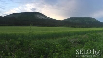 село Венчан Област Варна, Община Провадия | Selo.BG