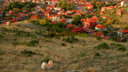 с.Първенец – Община 