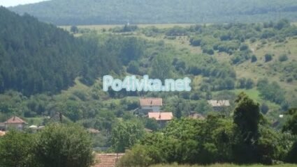 Елешница (Област София) | Село Елешница (Област София)