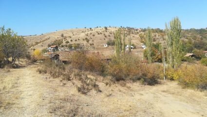 Бучино, Земеделска земя за продажба в землището на село Българчево ...