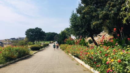 Pin by ♔ Parte girl ♕ on Около Каварна | Sidewalk, Structures