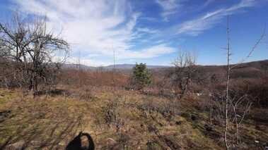 Имоти в Село Граматици, Област Велико Търново за продажба