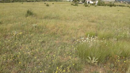 Продава се от собственик, имот в село Дъбрава, община Благоевград ...