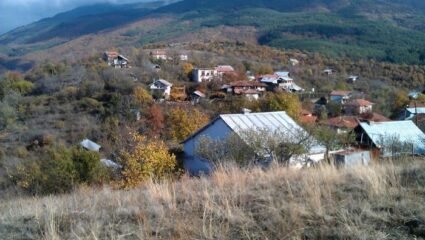 Голем Цалим | село