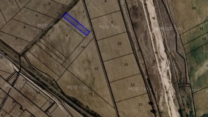 3709 - Продажба на 4 земеделски земи в землището на село ...