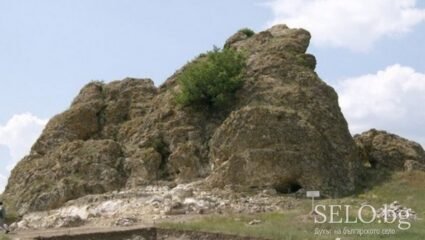 село Живково Област Шумен, Община Хитрино | Selo.BG