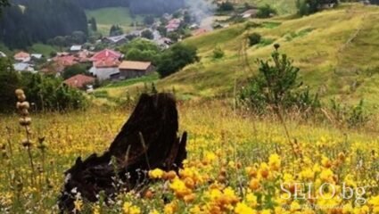 село Кестен Област Смолян, Община Девин | Selo.BG