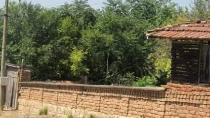 ДИМОНА 10“ ООД продава дворно място в с. Церовец, община Иваново ...