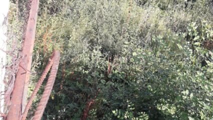 Продава Къща в с. Венковец, област София