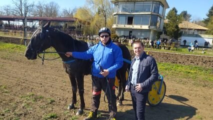 Конни надпревари се проведоха на Тодоровден в с. Стражица - Про ...