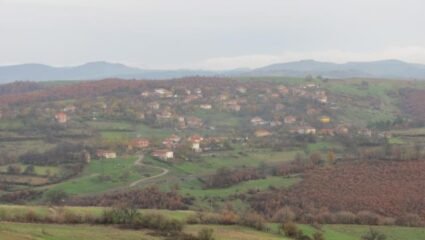 Купува земеделска земя в Божурци