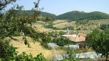 Купува земеделска земя в Драганово, община Черноочене