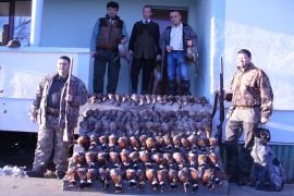 Pheasant hunting in Bulgaria | Hunting area Мусево 6774 | Bulgaria ...