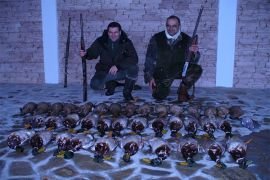 Waterfowl hunting in Bulgaria | Hunting area Рачовци 5350 ...