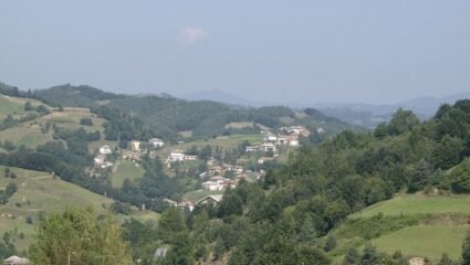 Село Падина