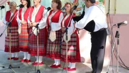 20 състава от област Добрич се изявиха на сцената на XVII ...