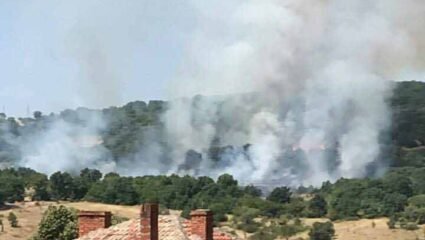 Пожар гори край Свирачи, Ивайловградско, няма опасност за ...