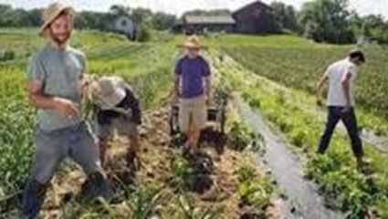 Службата за съвети в земеделието организира приемна в с. Михалич ...
