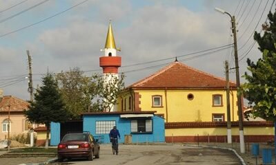 15-годишен от Искра е в ареста – подозират, че е убил свой ...