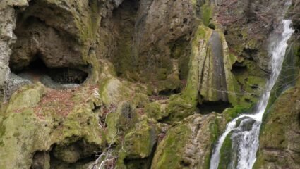 Бачково :: svetleto-mariqn