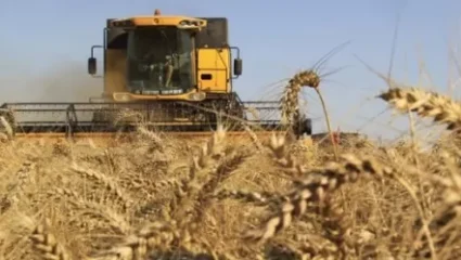 Земеделска кооперация Земя, Село Сокол