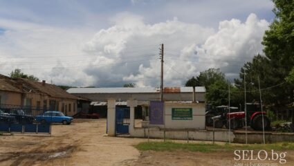 село Медовина Област Търговище, Община Попово | Selo.BG