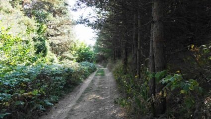 Бекови скали и Червената скала | Places to visit, Rhodope, Red rock