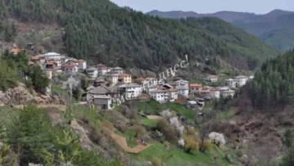 Родопско село обяви дарителска кампания, за да се транспортира от ...