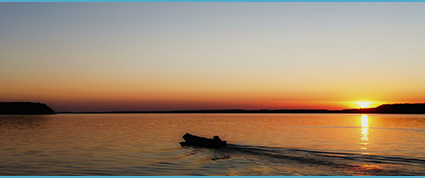 Hunting in Europe | Hunting area Гугутка 6590 | Bulgaria Hunting ...