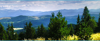 Hunting in Bulgaria | Hunting area Крушолак 7962 | Bulgaria ...