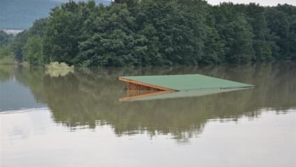 Снимката на 1 август 2014 година - Новини