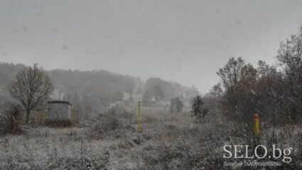 село Беленци Област Ловеч, Община Луковит | Selo.BG