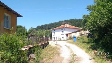 село Жълт камък Област Пловдив, Община Асеновград | Selo.BG