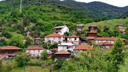 Село Чуреково - област Смолян - Смолян днес! - Актуални новини от ...