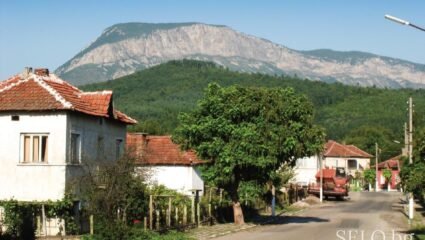 село Горно Озирово Област Монтана, Община Вършец | Selo.BG