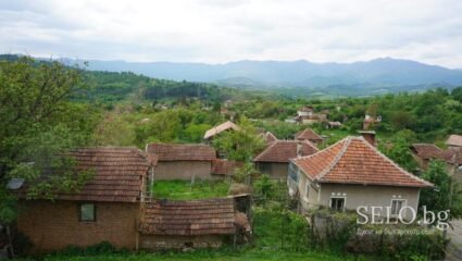 село Драганица Област Монтана, Община Вършец | Selo.BG