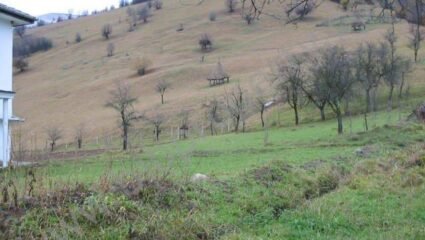 Село Любенци, България — информация — BiB Group