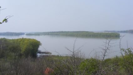 с. Дунавец, община Тутракан - Села - Портал Силистра