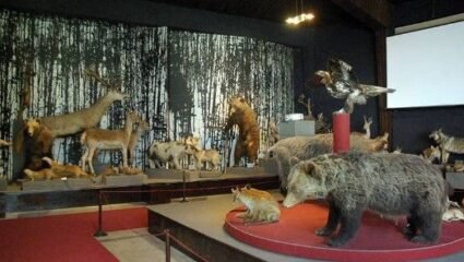 Природонаучният музей в Черни Осъм, Община Троян, област Ловеч е ...